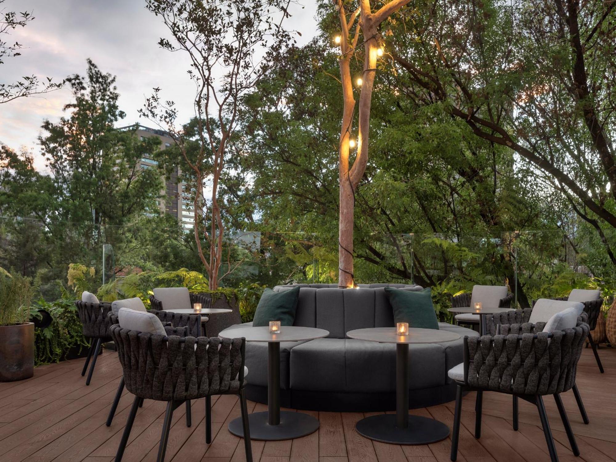 מלון מקסיקו סיטי Kimpton Virgilio By Ihg מראה חיצוני תמונה